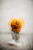 RUSSELL_D1_C1-010_FULL