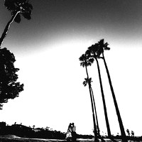 TARANTINO_C2-0616_FULL-2