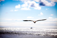 IMG_0049_FULL