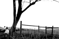 BERLINER_C2-1548_FULL